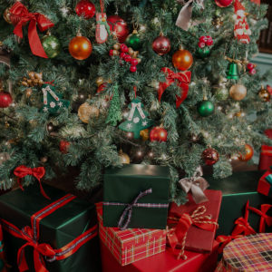 katharina-brinckmann-frohe-weihnachten-mobil